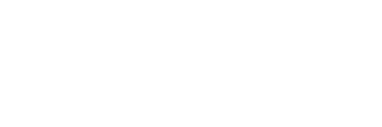 rebloke wordmark transparent white